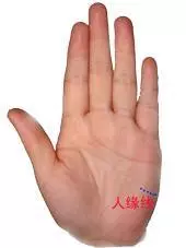 男左女右,伸出手掌,教你「手相看一生命運」很準哦!