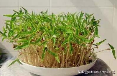 一碗綠豆水真的能包治百病嗎?