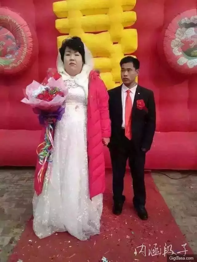 31張必定笑到噴淚的爆笑趣圖