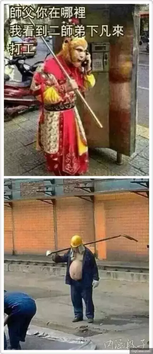 31張必定笑到噴淚的爆笑趣圖
