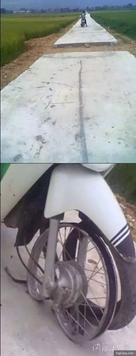 31張必定笑到噴淚的爆笑趣圖