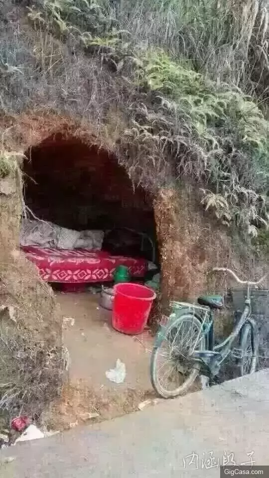 31張必定笑到噴淚的爆笑趣圖