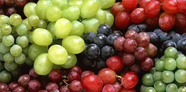黑提、紅提、青提,吃哪種葡萄最養生?不管好壞,1種葡萄要少吃