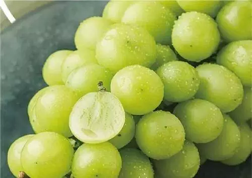 黑提、紅提、青提,吃哪種葡萄最養生?不管好壞,1種葡萄要少吃