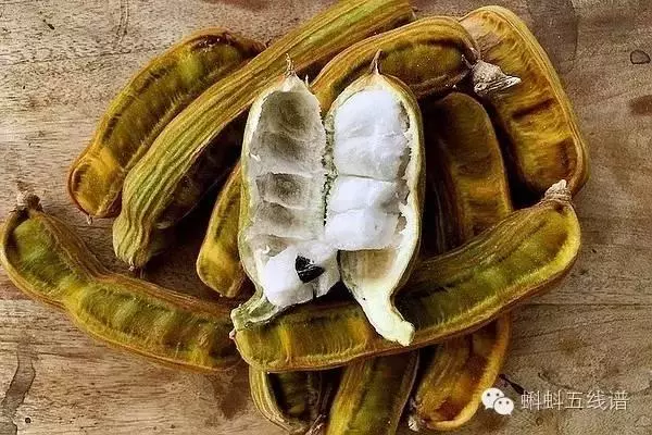 世界10大坑爹黑暗水果,看到最後整個人都升華了