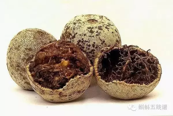 世界10大坑爹黑暗水果,看到最後整個人都升華了