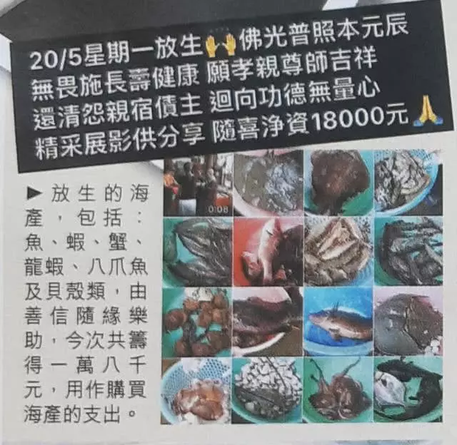 關之琳弟弟當風水師傅幫姐姐擺陣旺財,一邊籌款放生轉頭大口吃肉