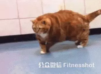 第二次領養啦! 6隻鴨寶寶的媽媽跑掉了 暖心拉拉:都來當我的孩子吧