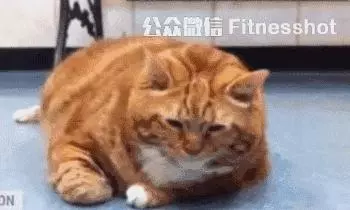 第二次領養啦! 6隻鴨寶寶的媽媽跑掉了 暖心拉拉:都來當我的孩子吧