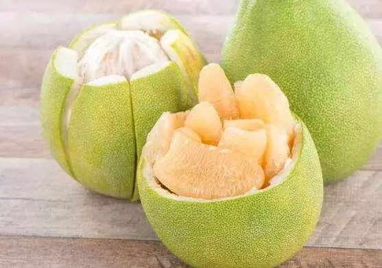 為什麼說貓咪的天敵是這種水果?有它在的地方,貓咪基本不會去