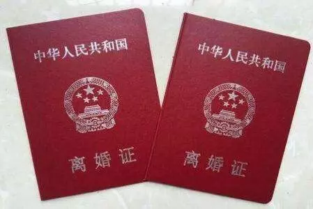 我出差提前回家,進門聽到岳母的說話聲,我決定離婚