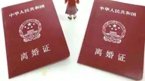 結婚一年還沒見過公婆,老公回老家我悄悄跟著,回家我決定離婚