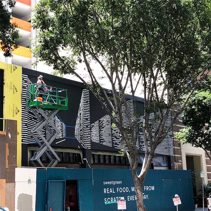 神利用「線條」做出震撼創作 天才女藝術家:我最驕傲的視覺錯覺作品
