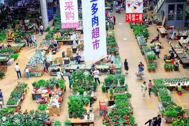 雲南旅行第一站的昆明,送上超全遊玩指南