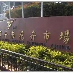 雲南旅行第一站的昆明,送上超全遊玩指南