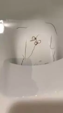 她PO網求助「馬桶驚見一堆扭曲紅色生物」用鹽酸都處理不了!專業網友:跟所有住戶都有關!