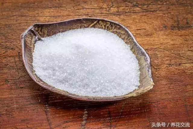 自製肥料的9種常見材料,用這些技巧就能促進植物生長