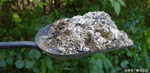 自製肥料的9種常見材料,用這些技巧就能促進植物生長