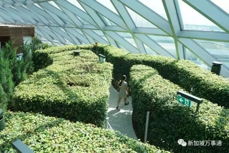6月10日,去新加坡樟宜機場的乘客,竟然都期待飛機晚點!
