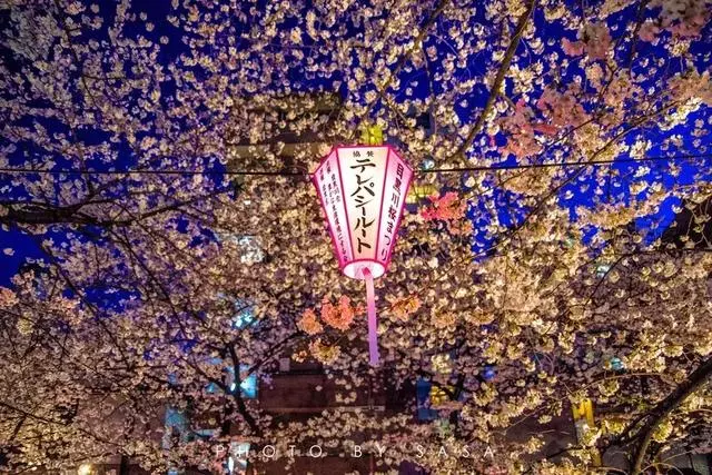 哪些國家旅遊最安全?最安全的10個國家推薦