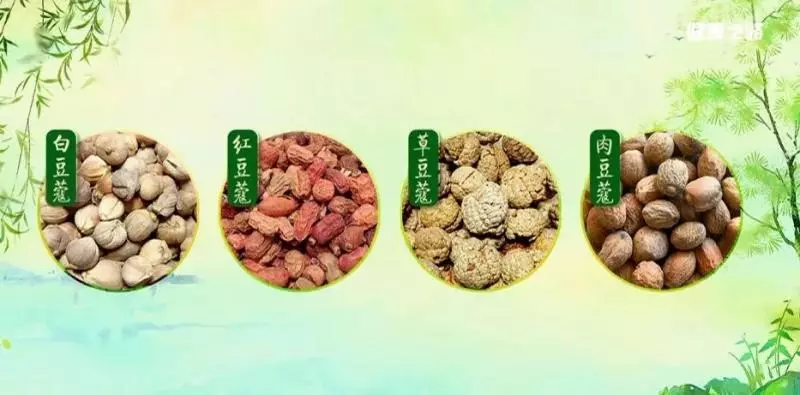 用好這4個「祛濕神器」,輕鬆解決夏季腸胃問題!
