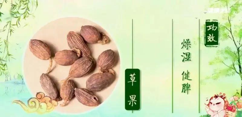 用好這4個「祛濕神器」,輕鬆解決夏季腸胃問題!
