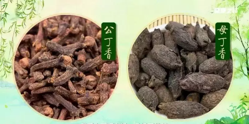用好這4個「祛濕神器」,輕鬆解決夏季腸胃問題!