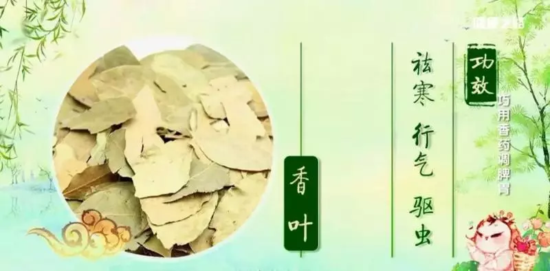 用好這4個「祛濕神器」,輕鬆解決夏季腸胃問題!