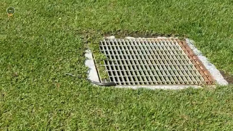 北市大湖公園驚見眼鏡蛇 民眾嚇壞「人蛇大戰」開打