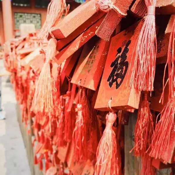 我不敢休息,因為我沒有存款;我不敢偷懶,因為我還要生活