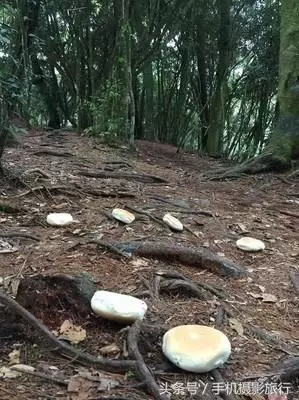 他勸阻登山客在地上看到這些「被丟棄的麵包」千萬不要撿!網友發毛:原來在這做儀式!