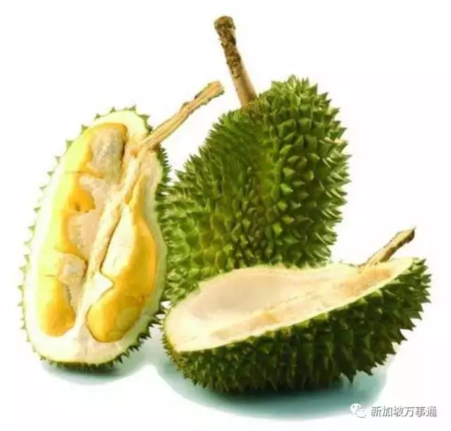 驚天騙局!原來我們吃的榴槤很多都是假貨!