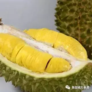 驚天騙局!原來我們吃的榴槤很多都是假貨!
