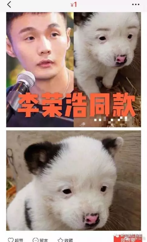 別再羨慕明星臉!明星撞臉系列,林俊傑哭暈在廁所