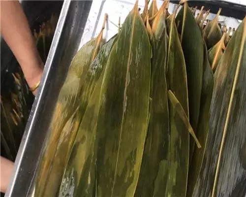 吃粽子講究多!10個禁忌你一定要記得!原來空腹或睡前是不能吃的!一定要給爸媽知道!