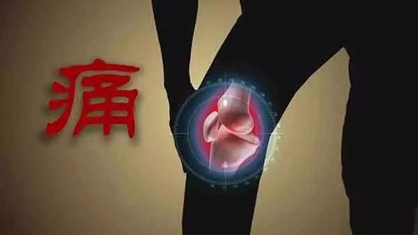 關節疼痛難熬,蒲公英加1物,每天喝一喝,關節再也不痛了
