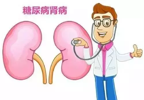 糖尿病腎病嚴重危害健康,早期篩查很重要!做好九點早預防