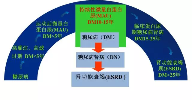 糖尿病腎病嚴重危害健康,早期篩查很重要!做好九點早預防