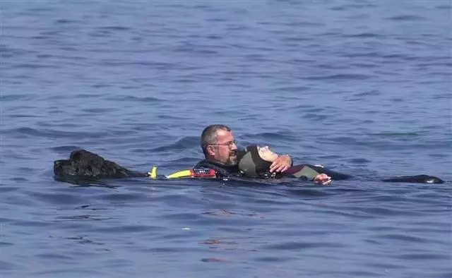 搜救犬陪伴主人趕往災區,發現海難群眾後,竟從空中跳入海里營救
