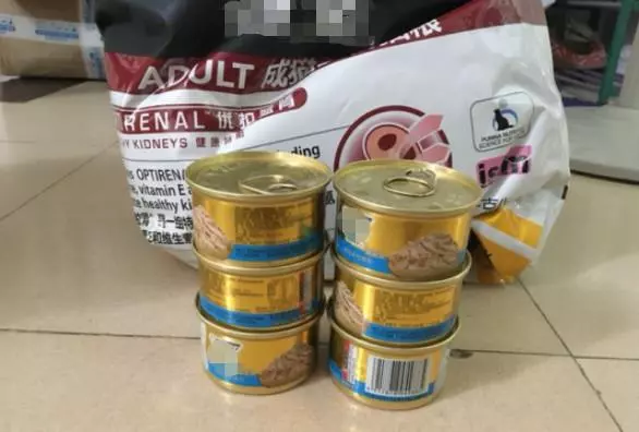 貓糧不能長期作為主食,相比昂貴貓罐頭,乾糧的兩大缺陷更為嚴重