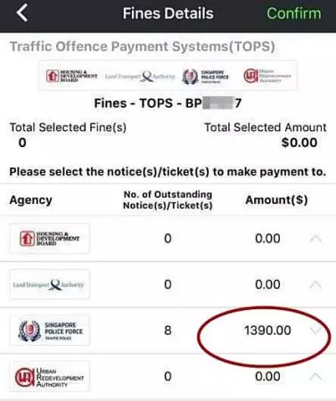 大馬車關卡插隊惹禍上身,竟被爆欠逾千罰單!「它怎麼進的新加坡?」