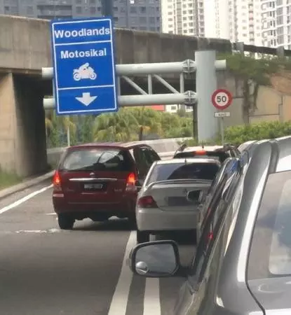 大馬車關卡插隊惹禍上身,竟被爆欠逾千罰單!「它怎麼進的新加坡?」