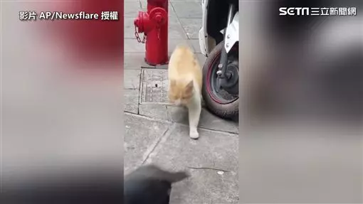 你老婆在你後面很火 當街抓包老公外