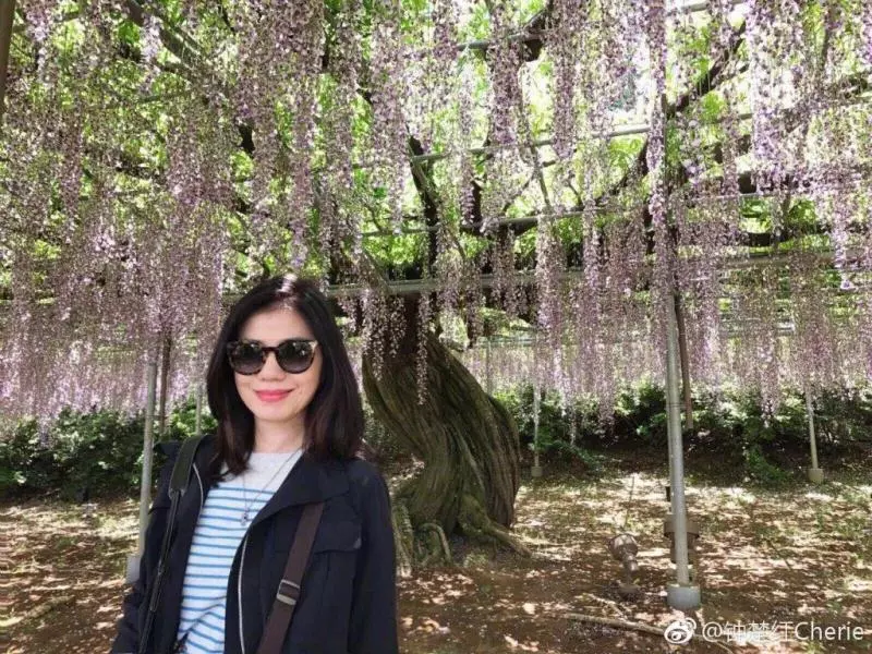 58歲凍齡女神鍾楚紅每天悼亡夫 為愛人單身11年:曾擁有這段婚姻已完美