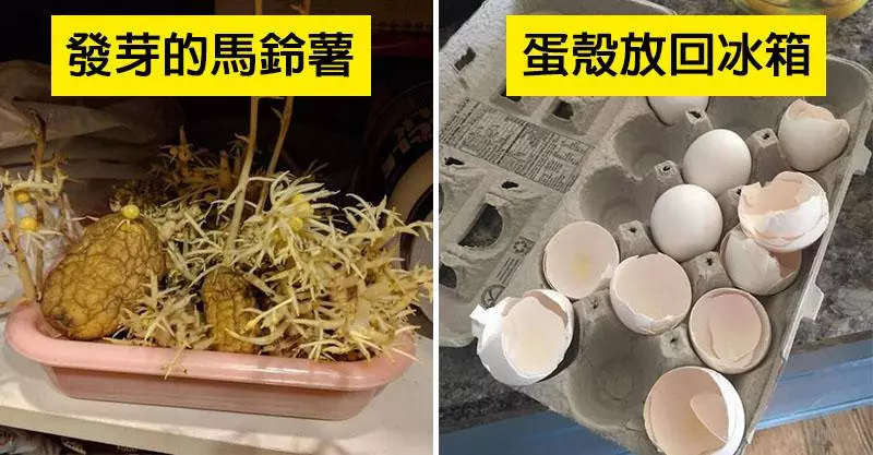 19位讓人懷疑「室友是怪物」的崩潰習慣 義大利麵放到變《風之谷》!