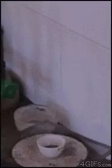 11張網友們超有創意的搞笑動圖!
