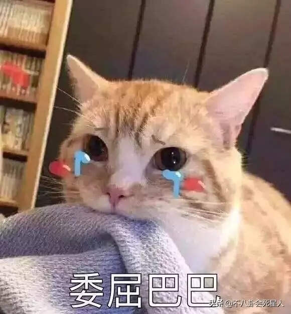 她顏值擊敗邱淑貞,劉德華都看呆,今55歲,一雙電眼太迷人