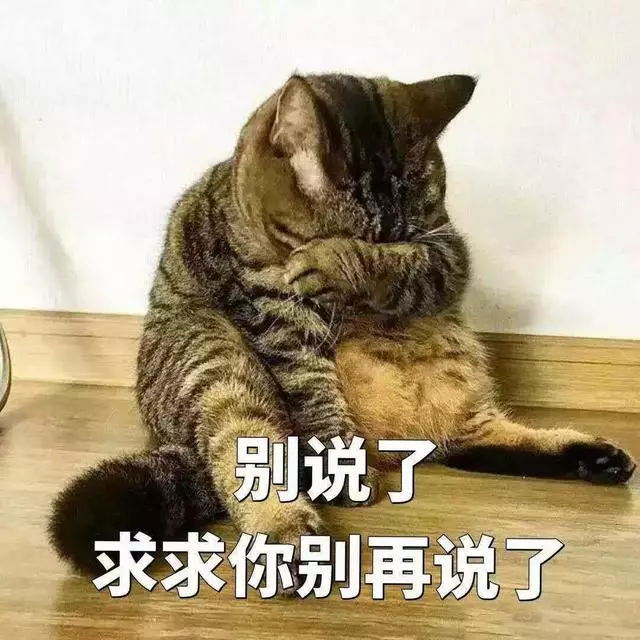 胖貓鑽狗洞被卡住,才知重到20公斤,曾藏身於狗糧倉庫