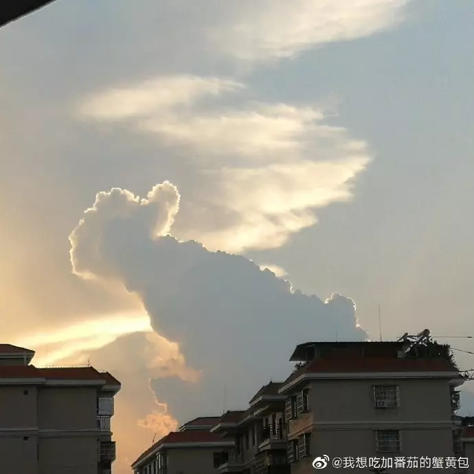 大考前望天發現好兆頭! 學生拍到「比讚雲」天象奇景