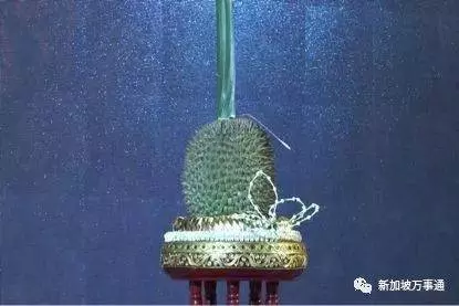 一粒就要賣6.5萬,壕出天際的榴槤原來就長這樣!